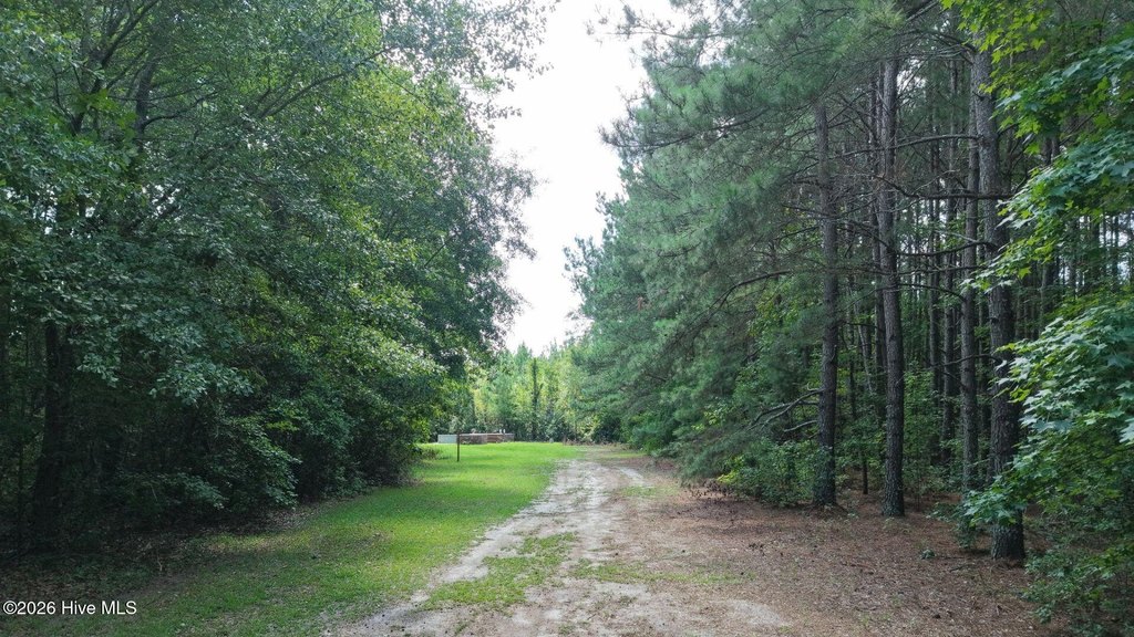 Picture 23