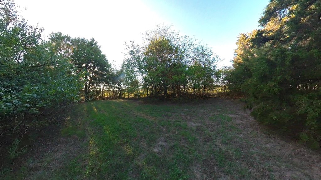 Picture 10