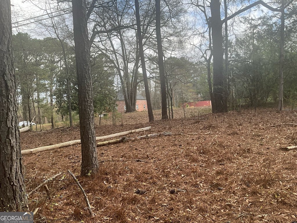 Picture 23