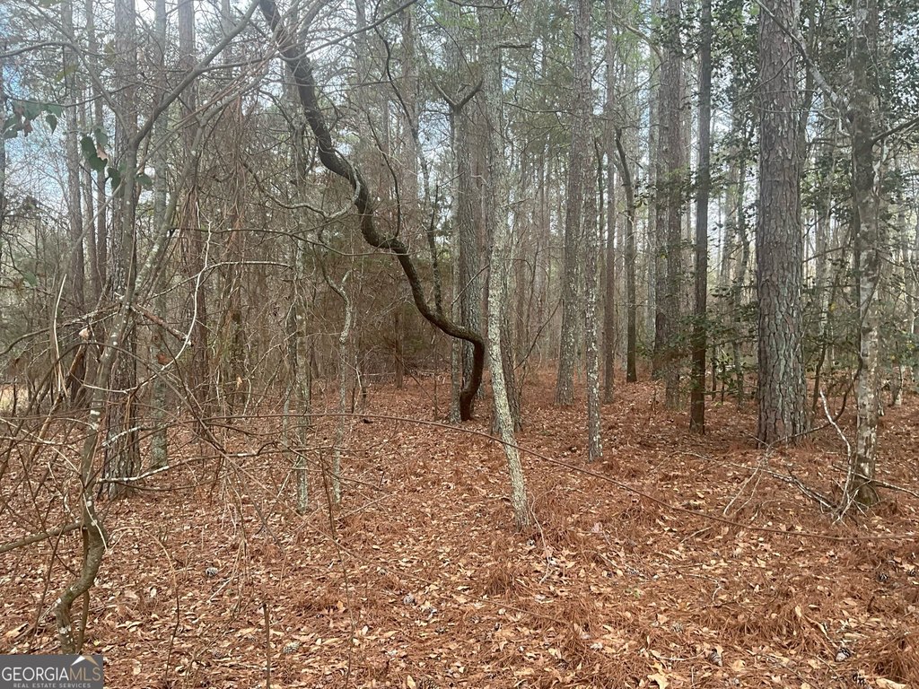 Picture 21