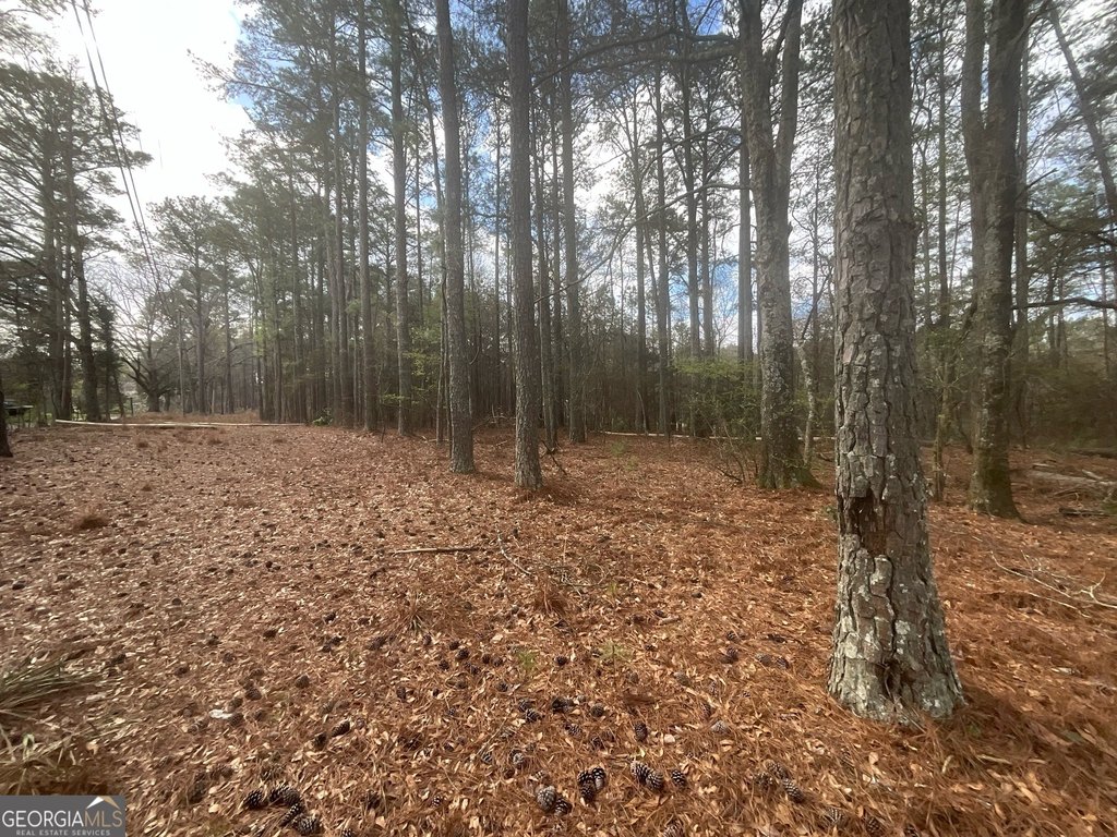Picture 17