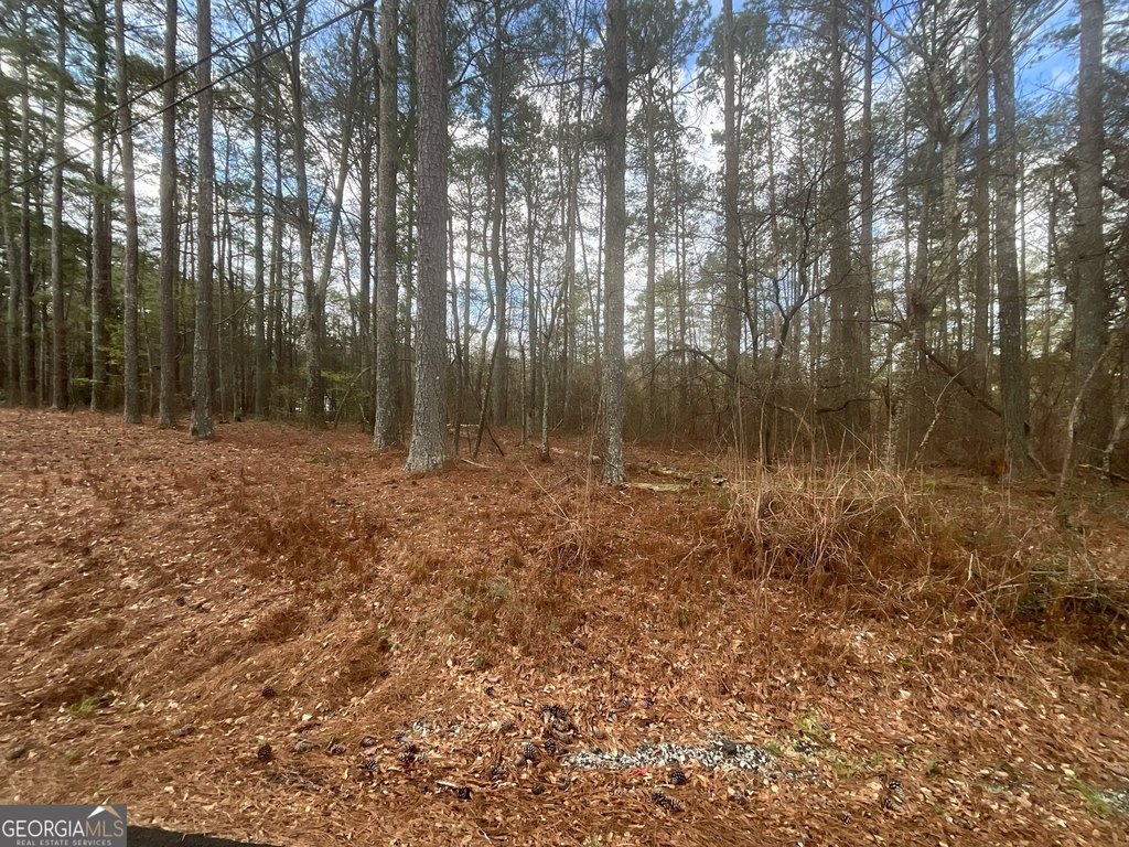 Picture 15