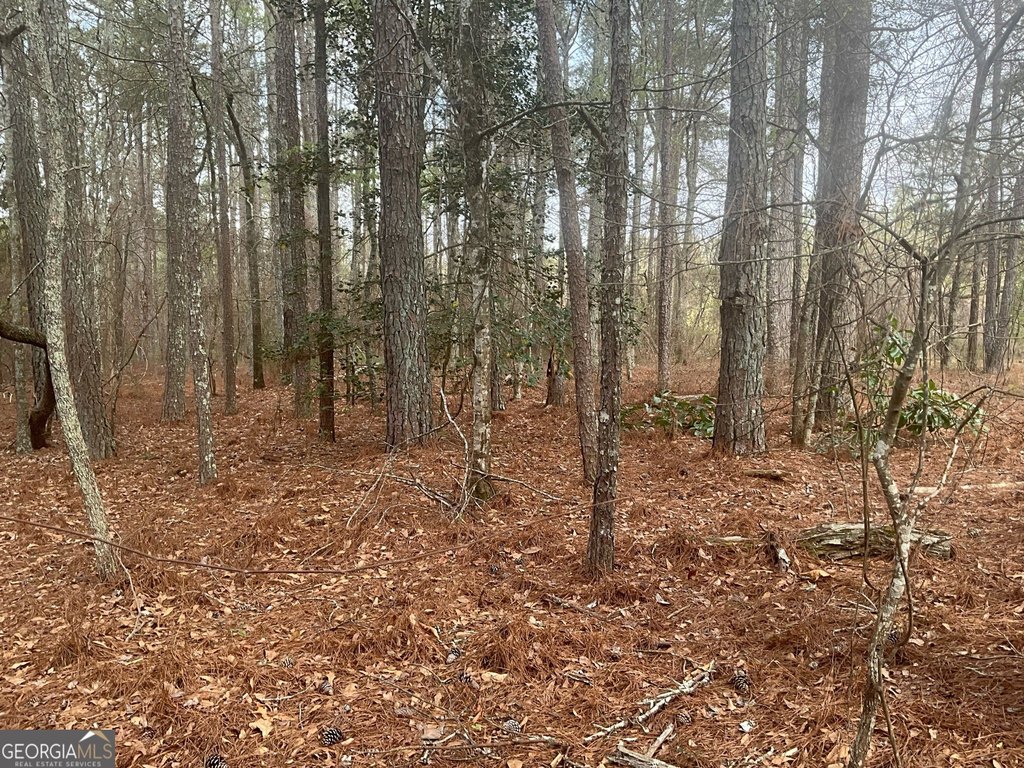 Picture 22