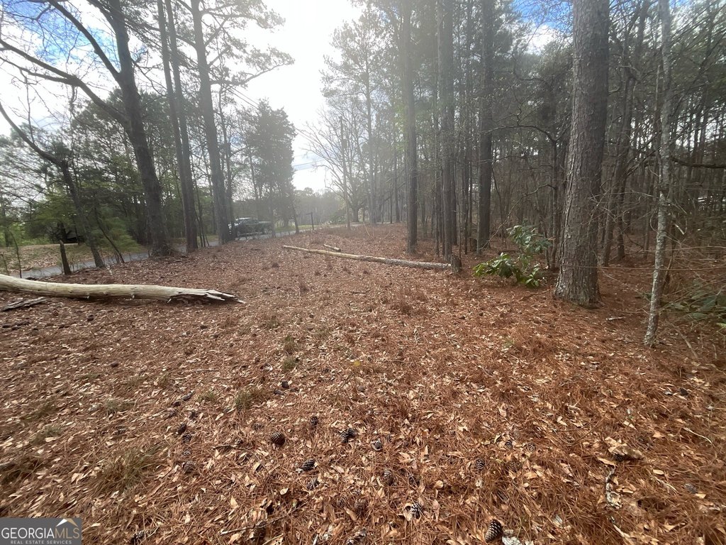 Picture 19