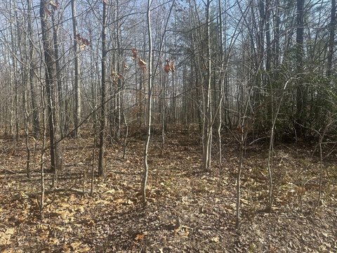Land, Strunk, KY