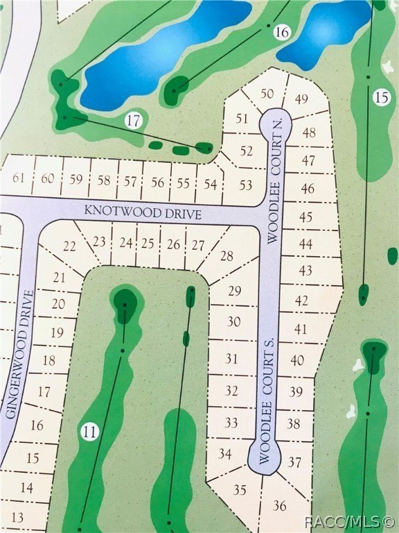 Golf Course Lot in Homosassa