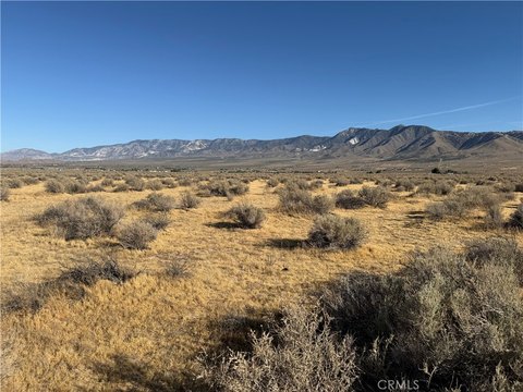 Lucerne Valley Acreage Opportunity