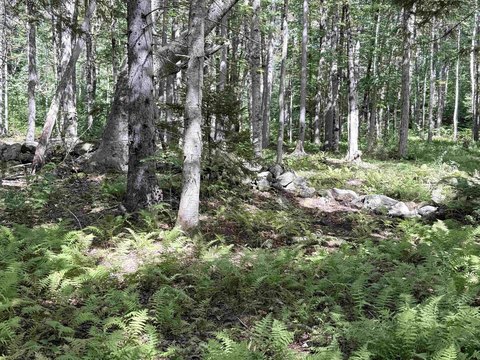 Land, Windham, VT