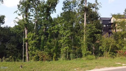 LAND - Sevierville, TN