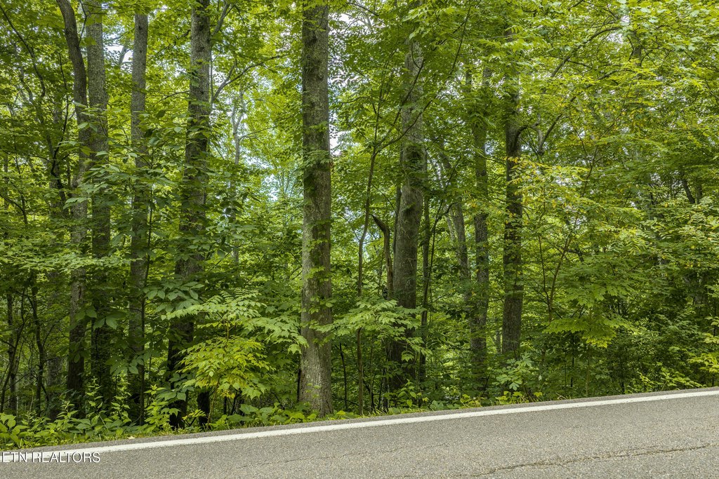 Picture 31