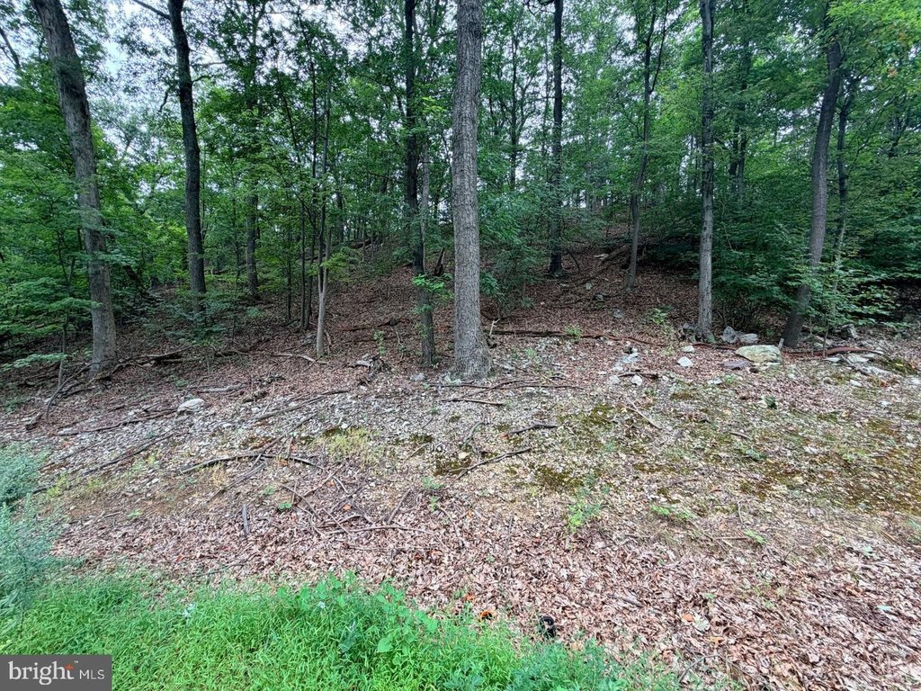 Picture 16