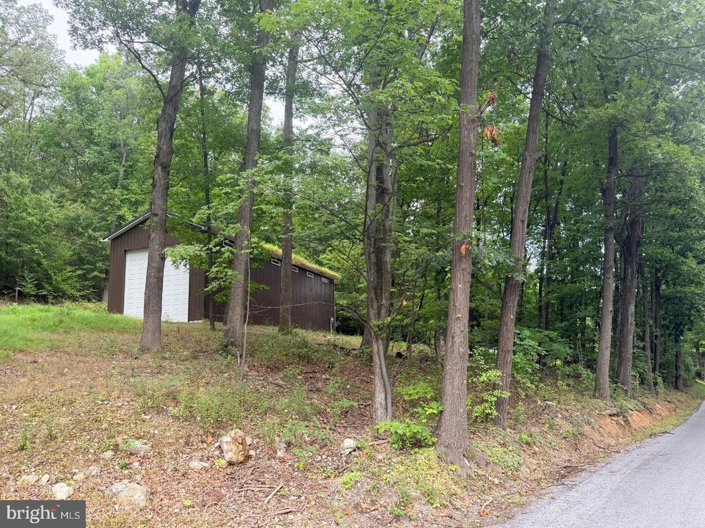 Picture 21