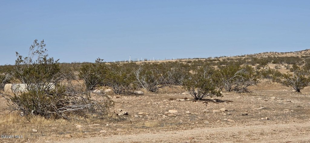 Picture 6