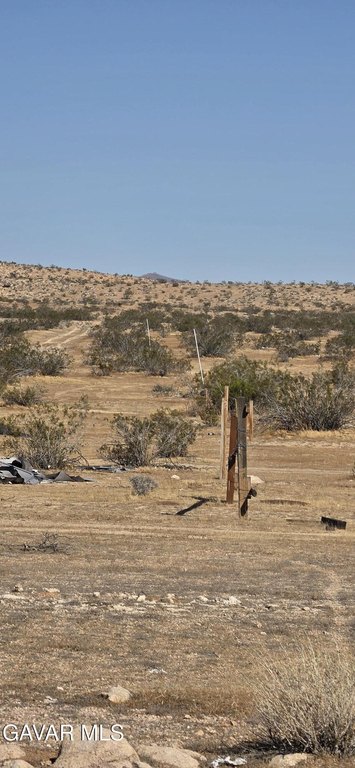 Picture 5