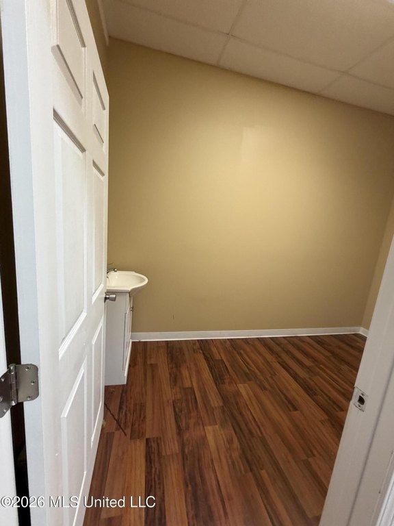Picture 5