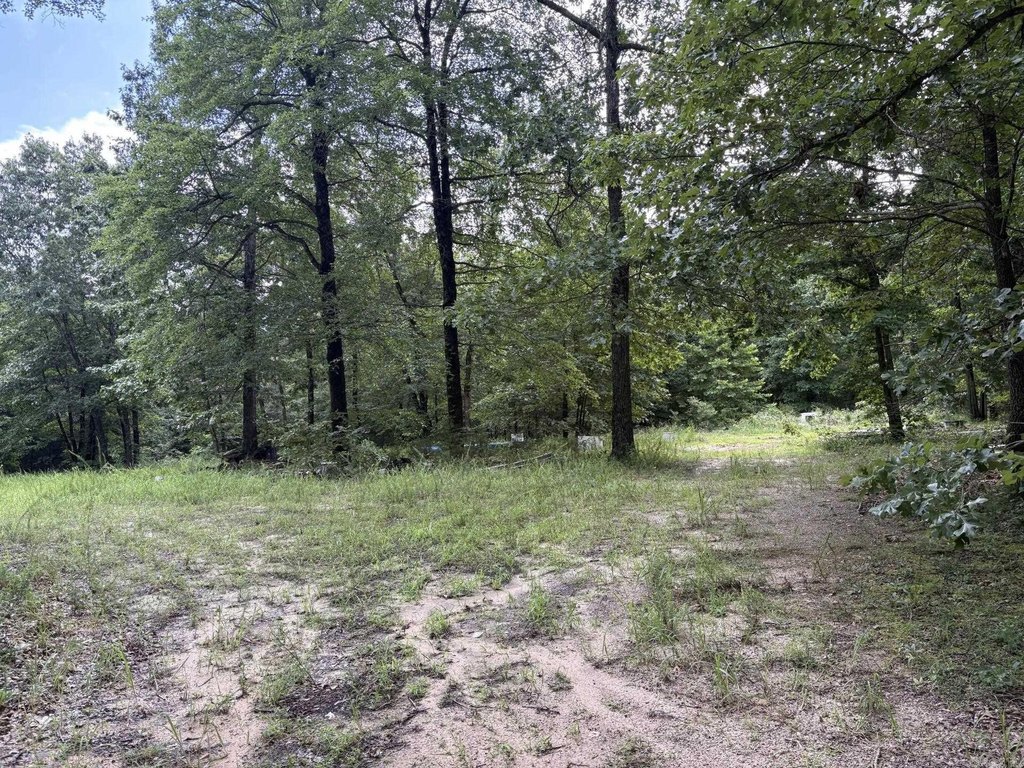 Picture 6
