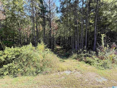 Odenville Acreage: Build Your Dream