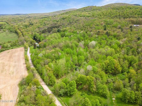 22.6 Acres in Jefferson, NY