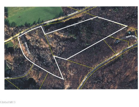 22.6 Acres Wooded Land Parcel
