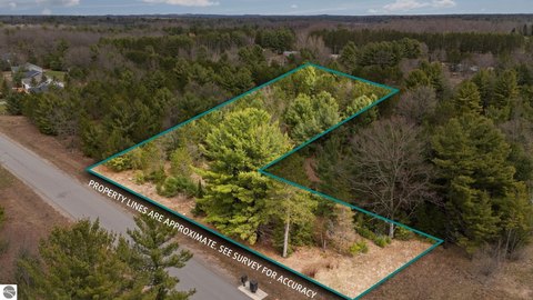 Vacant Lot/Land, Interlochen, MI