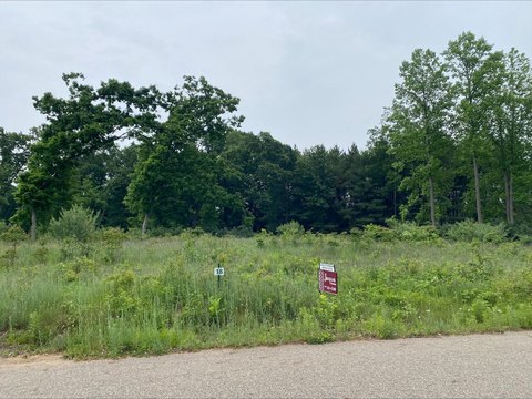 Residential Land in Pine Hollow
