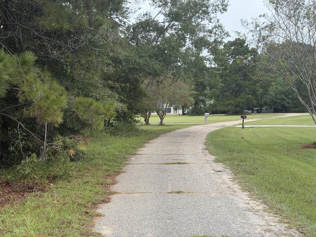 Picture 5