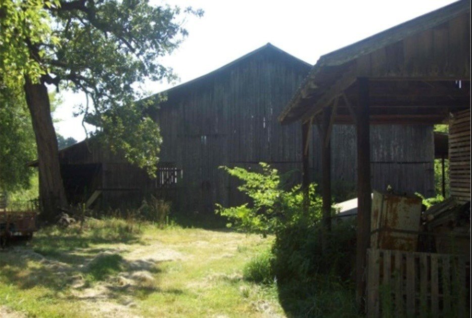 Picture 7