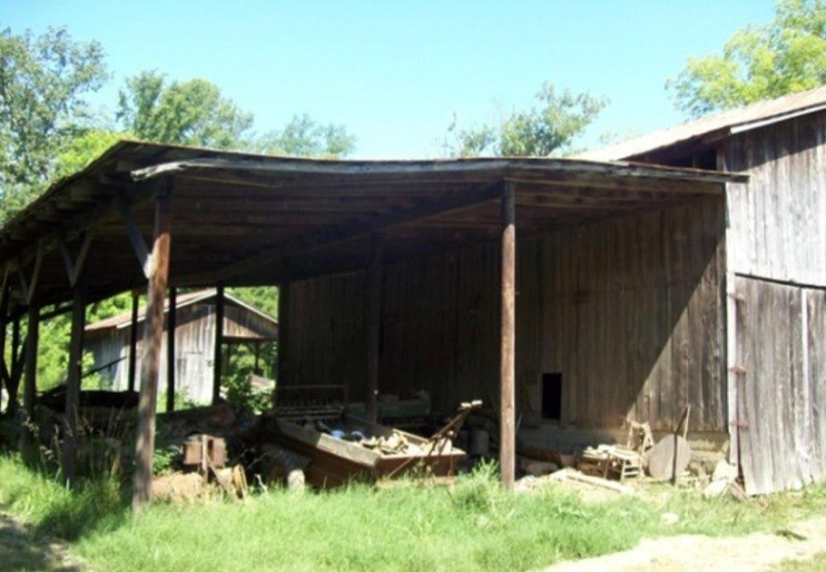 Picture 8