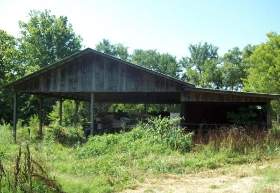 Picture 6