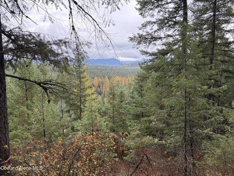 View Lot with Utilities