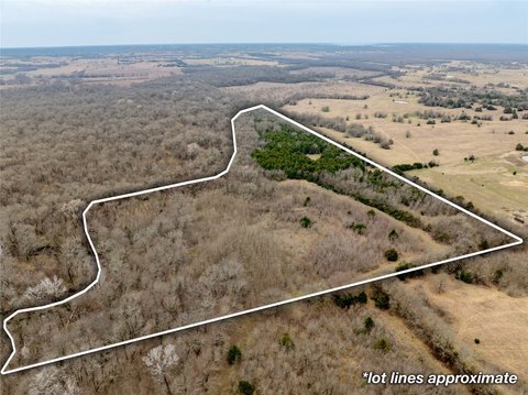 Heavily Wooded Hunting Land