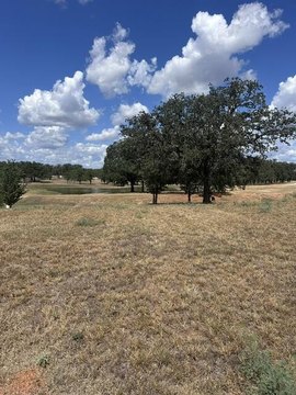 Land, Fredericksburg, TX