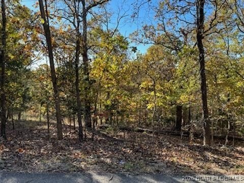 Camdenton Land in Camelot Estates