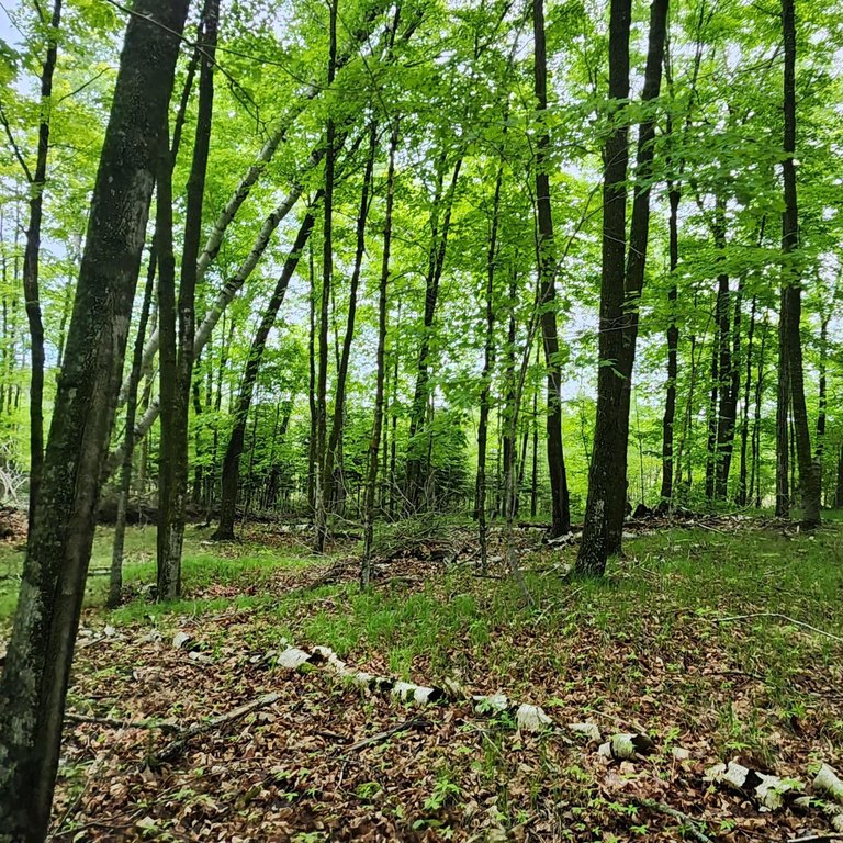 Picture 4