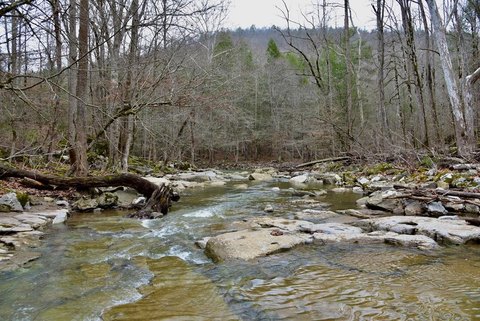 Expansive Land with Hunting Potential