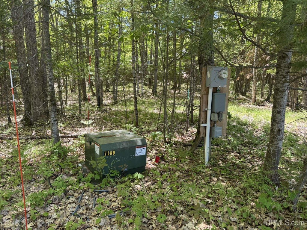 Picture 5