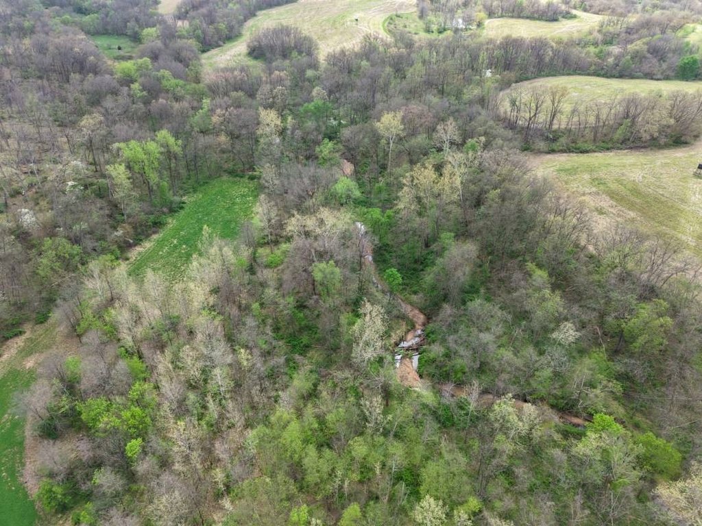 Picture 18