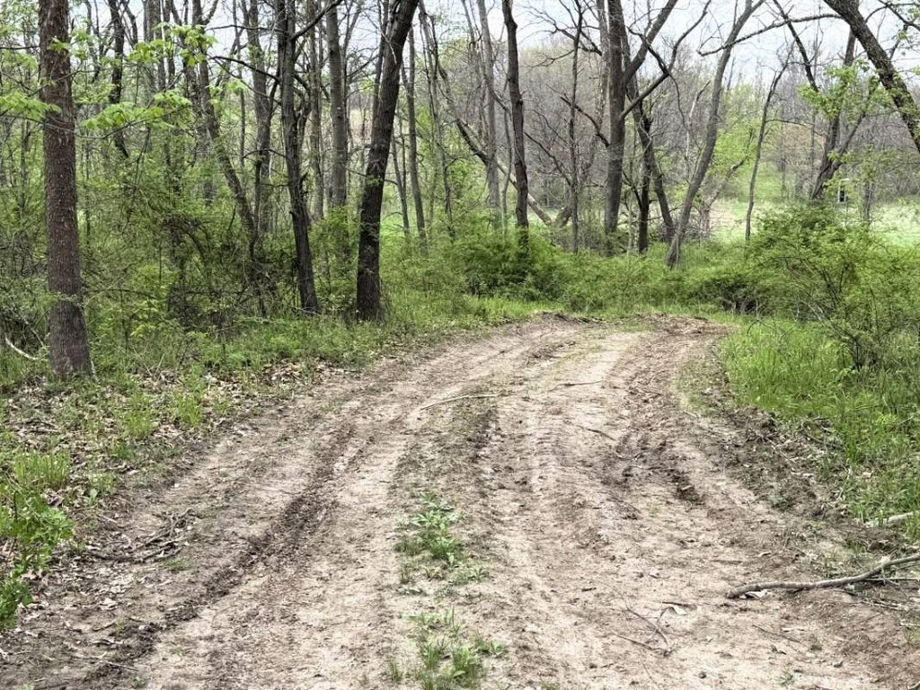 Picture 35