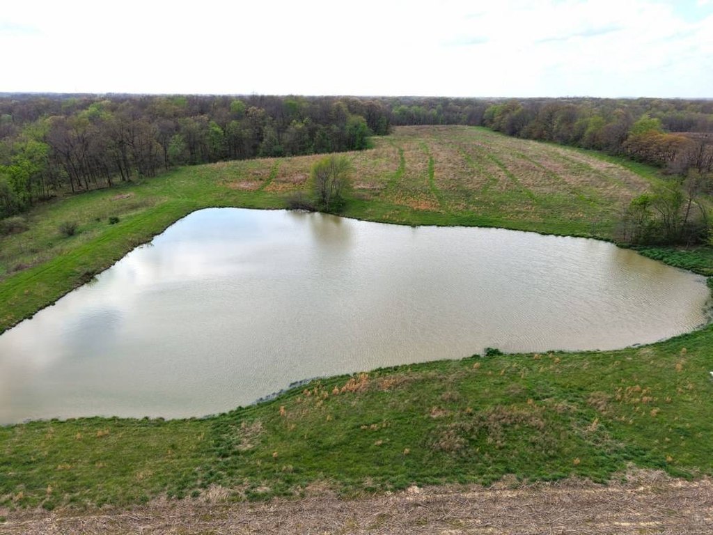 Picture 25