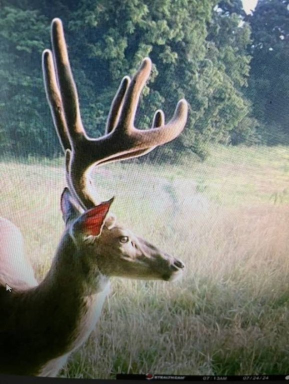 Picture 41
