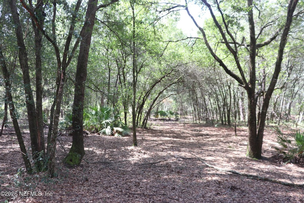 Picture 14