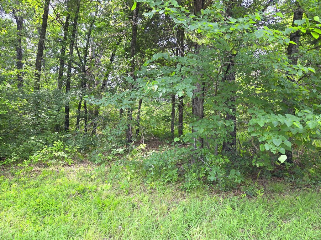 Picture 21