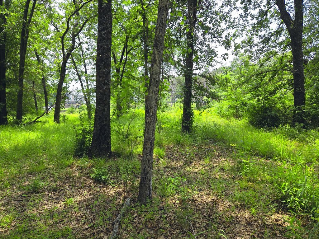 Picture 28