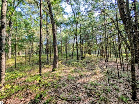 Vacant Lot/Land, Au Gres, MI