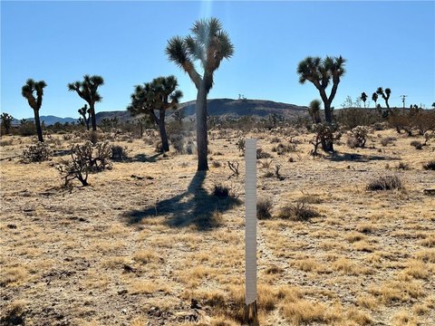 Yucca Valley Land Opportunity