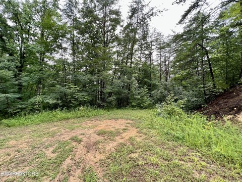 LAND - Sevierville, TN