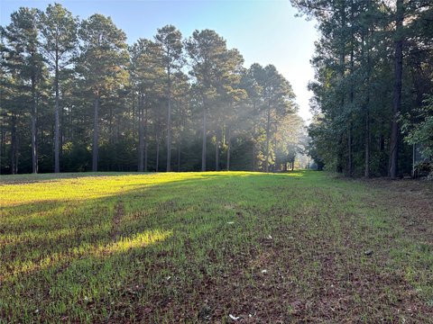 Timberland Tract with Development Potential