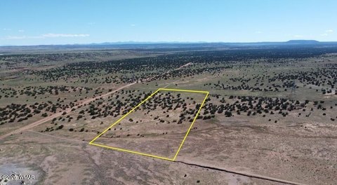 LAND - Concho, AZ