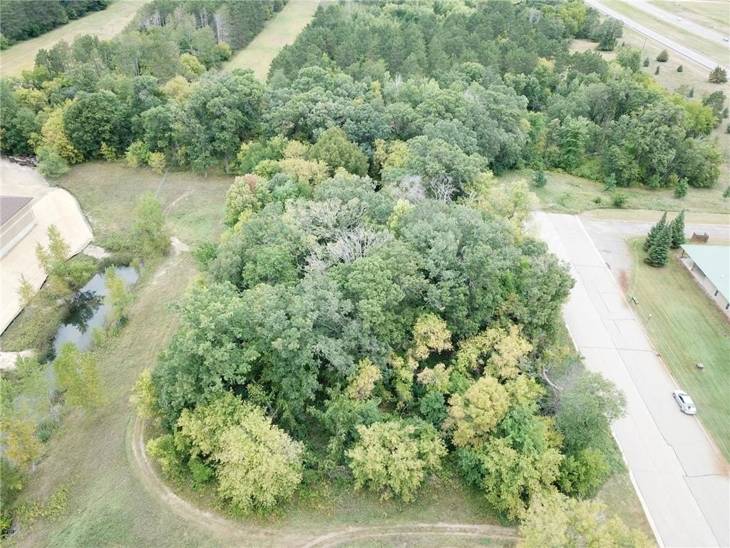 Picture 3