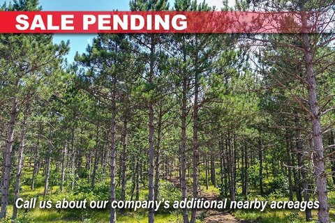 Recreation Land Wooded Homesite